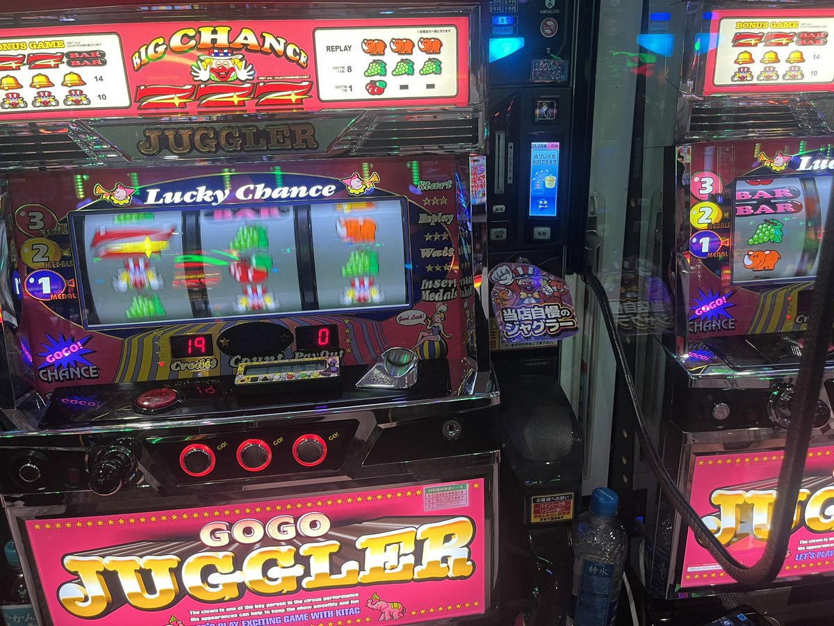 強運ちゃん。🐶 tweet media