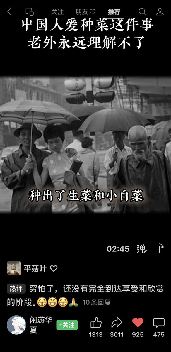 平菇叶 tweet media