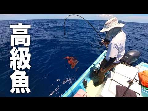 tsurienta's tweet photo. ✅高級魚が4種も釣れたので食べ比べた結果…一番美味い「真の王座」が決まりました。【カミヤマライトゲーム】 #カミヤマライトゲーム #釣り
https://t.co/vOudFiPTxi https://t.co/9WwUJ0KFlw