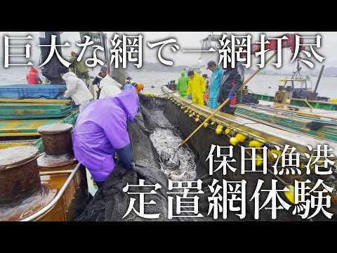 tsurienta's tweet photo. ✅300mの巨大な網で一網打尽！獲れた魚で豪華な定食まで食べられる［保田漁港ばんや］の定置網体験がスゴイ【ぬこまた釣査団】 #ぬこまた釣査団 #釣り
https://t.co/xf3tQaglc0 https://t.co/UYM1FH20PG