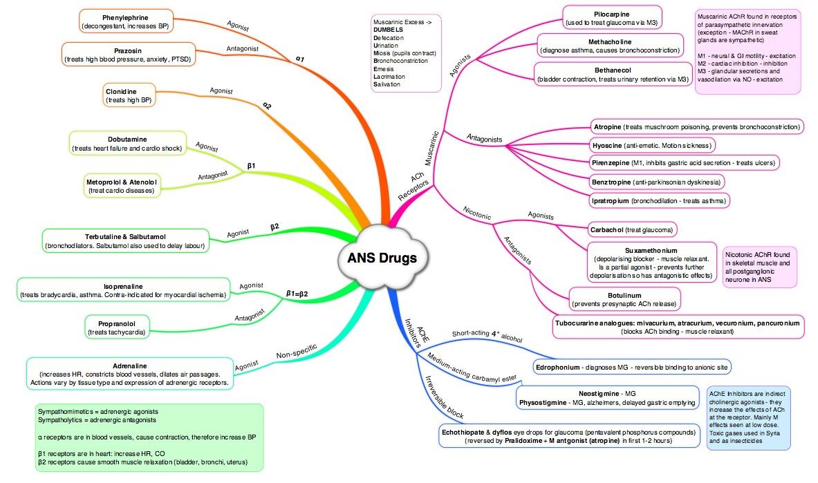 ManualOMedicine's tweet image. Drugs Acting on the Autonomic Nervous System (ANS)

#medtwitter #foamed #meded