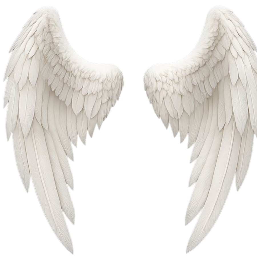 ◜ 𐙚 𝑴𝑎𝑦𝑠𝑖𝑙𝑒𝑒. tweet media