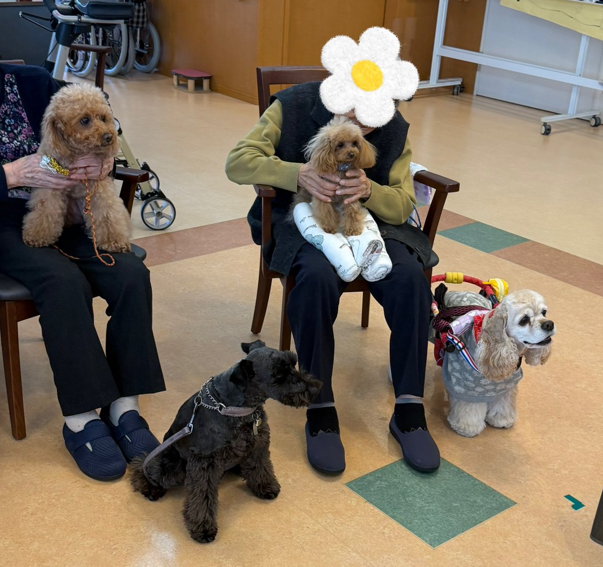 npo_ambitious's tweet photo. 滋賀県草津市ルミエス松ヶ丘
笑顔の出迎え、皆さん楽しみにされてお話しをすると、以前に犬を飼ってらっしゃる方や、自分が犬年やから一緒やと嬉しそうにお話しされました。犬を抱っこして重さを感じながら、笑顔で犬に話しかけたり優しく撫でる姿が見られました。ありがとうございました。 https://t.co/YBS5Sy6f0L