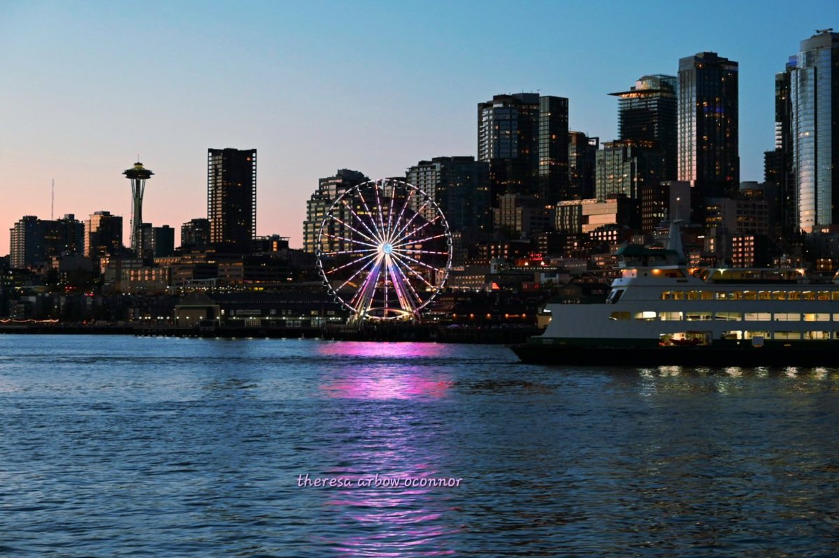 TheresaArbowOC's tweet image. So pretty tonight in the city ♡
#Seattle @SeattleWaterfnt