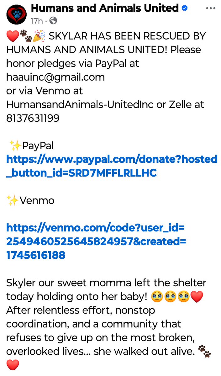 #rosafond and #haau Humans and Animals United "rescued" another Rockdale dog.

Pray Skylar doesn't become the next statistic meeting an untimely end. 

RIP Luna, Ben, Franklin, Hercules, Pechuga, Fredrick and countless others that have vanished.

haauexposed.com/in-memory-of/