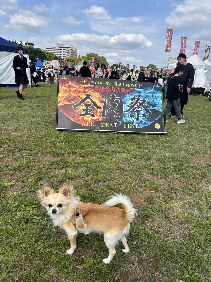 kntrizm21's tweet photo. 公園に散歩に来たら、肉🍖フェスやってた‼️
心地よい天気でテンションあがる😀
老若男女とペット🐶もみんな幸せな顔してる
江戸川区の大島小松川公園です
#野外フェス　#公園　#イベント https://t.co/wUddLZU8j4