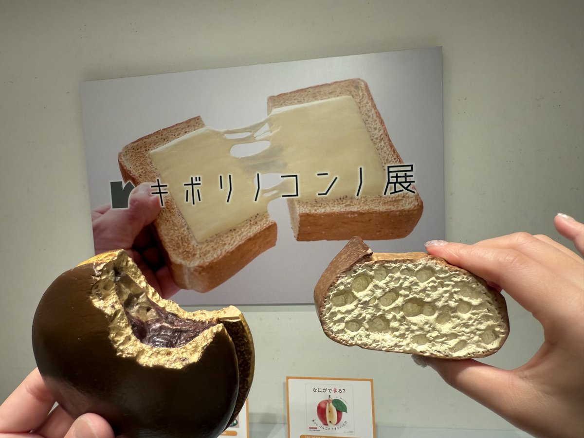 _TyxR's tweet photo. #キボリノコンロ展高知 https://t.co/7OMtDtYpov