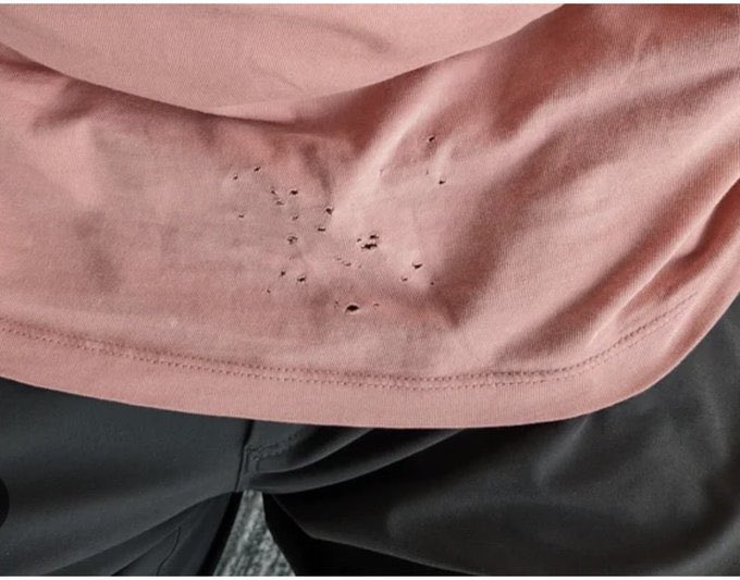 Rasmulan tweet media