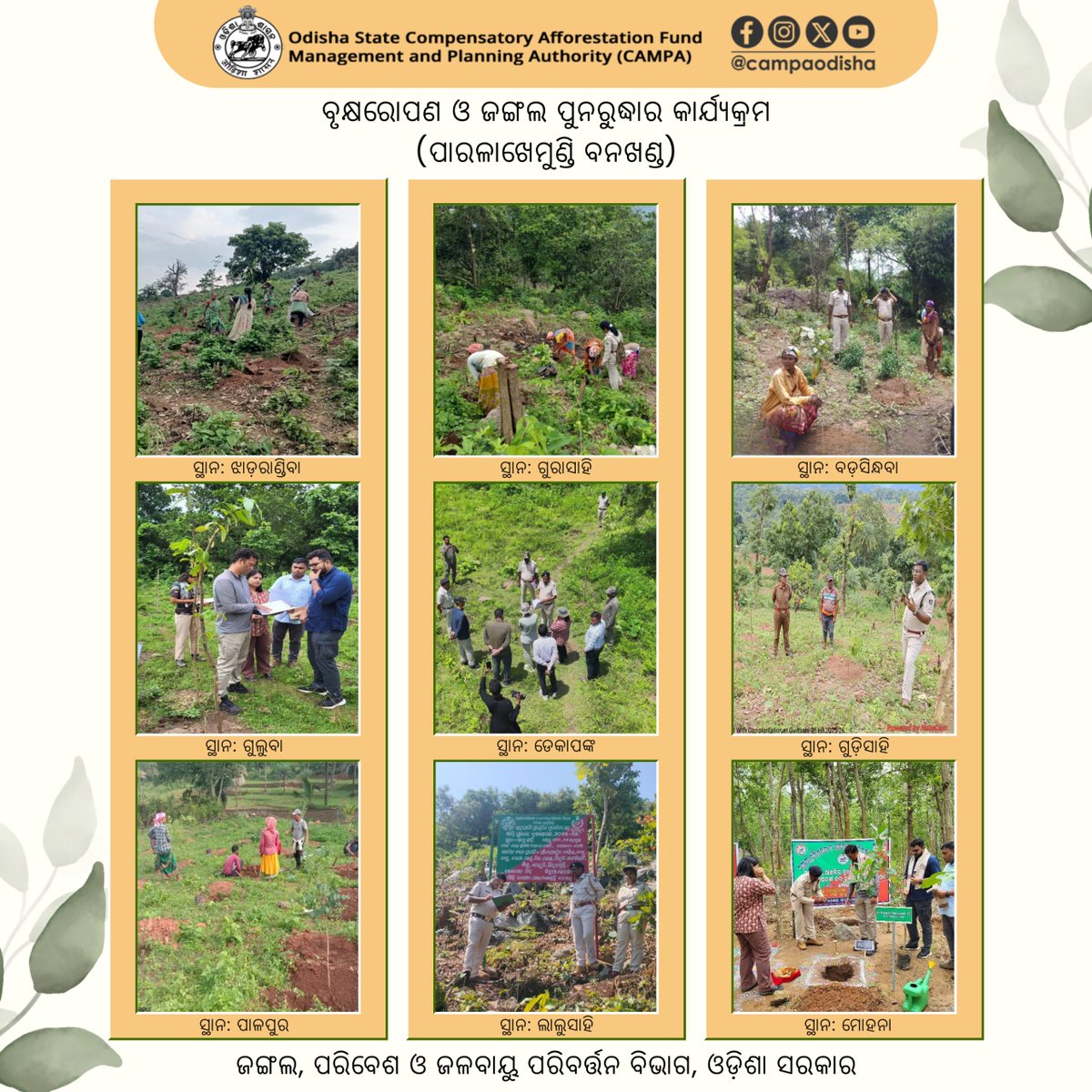 CAMPA ODISHA tweet media