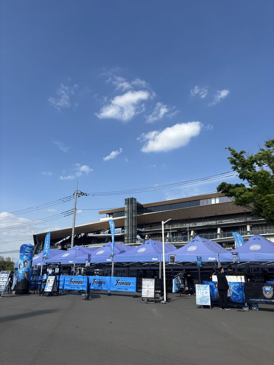 藤崎忍 tweet media