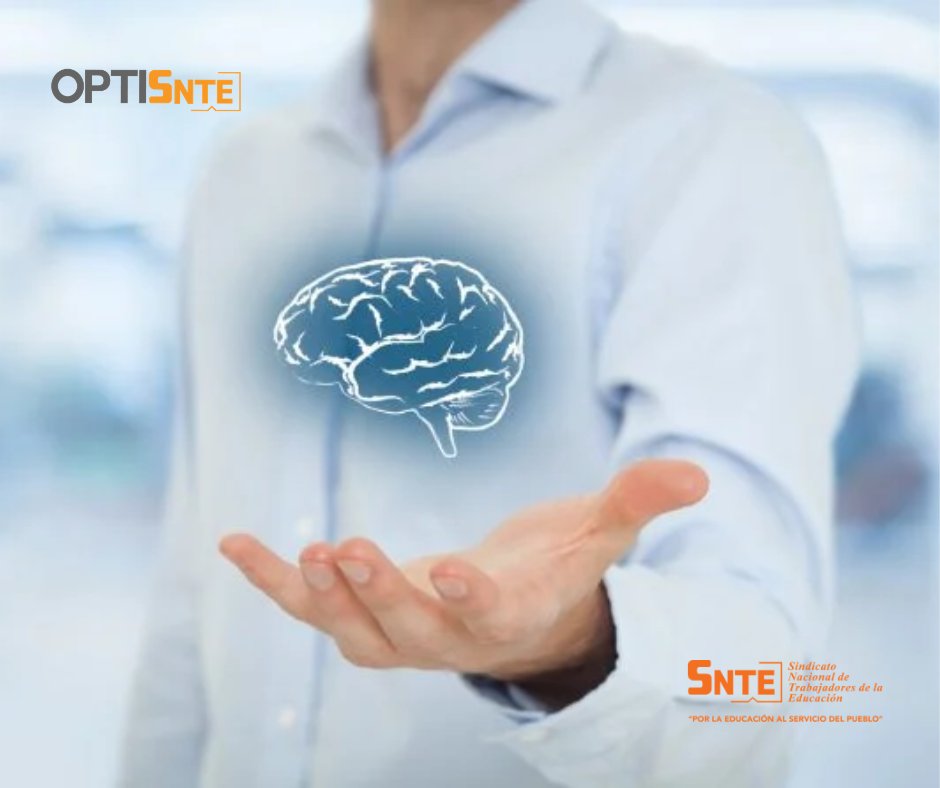 OPTI SNTE tweet media