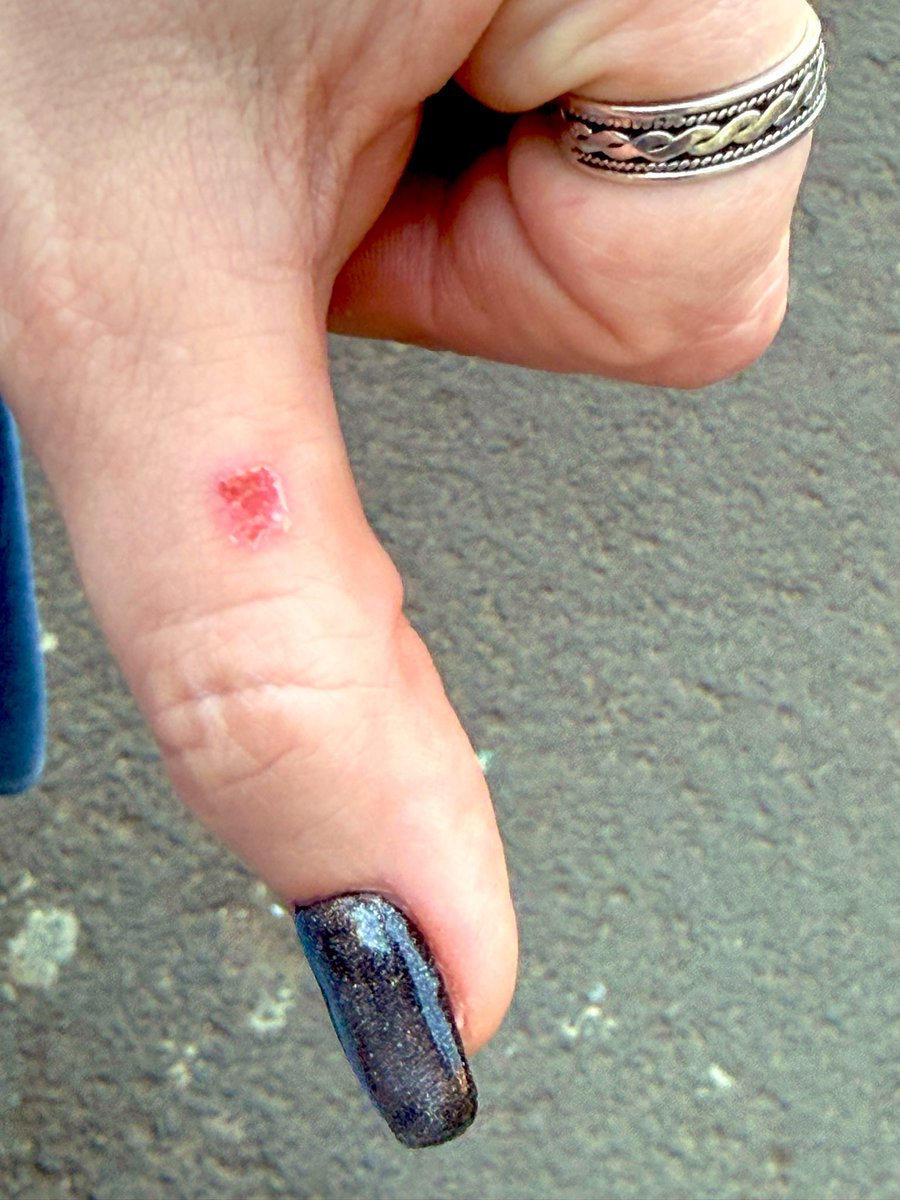 Lesley - FPL ⚽️🎶 tweet media