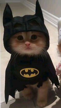 Lea Marie tweet media