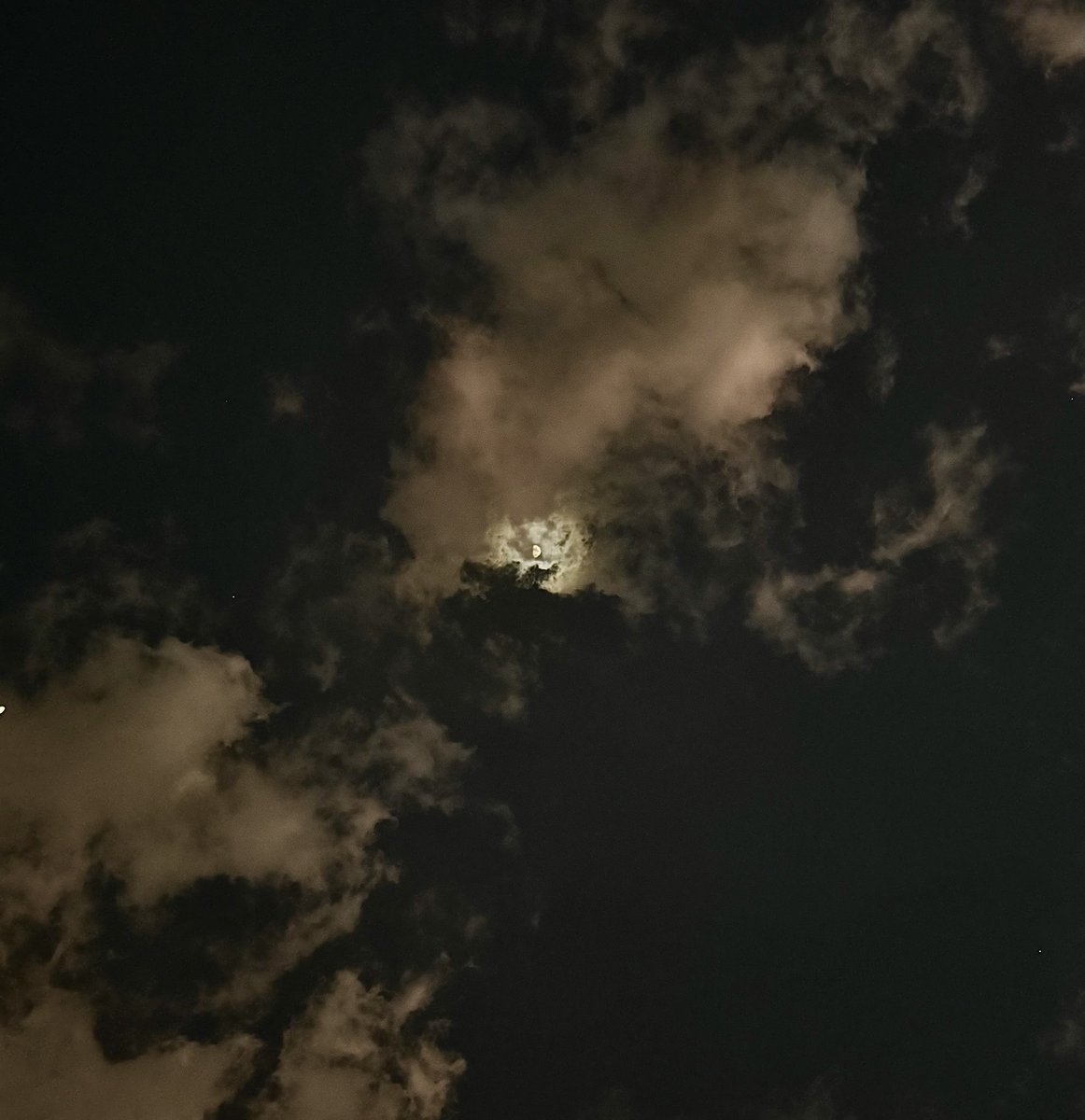 Francisco Javier Ferreyra López tweet media