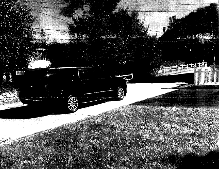 Dan Donovan🌺 tweet media