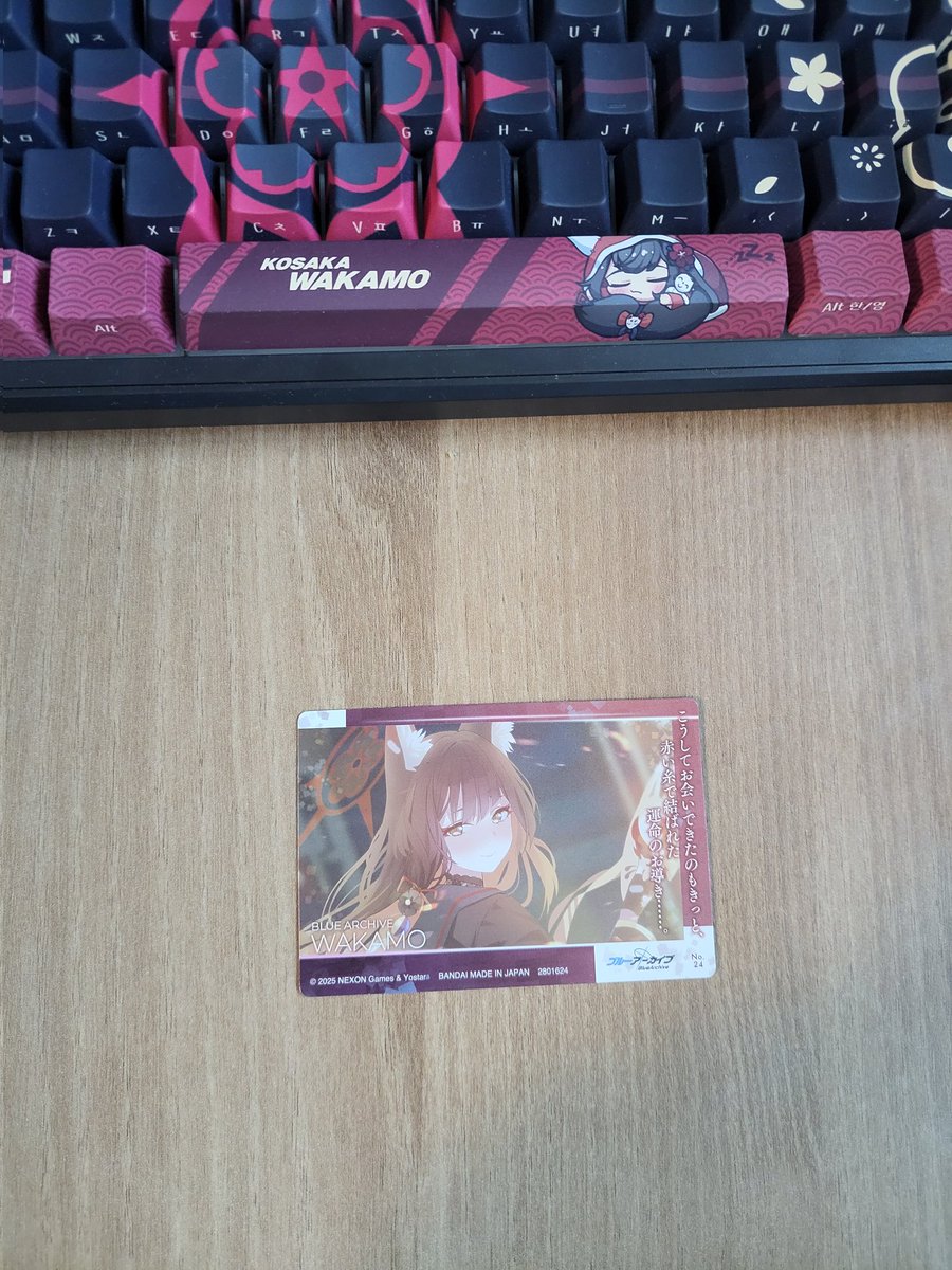 박주현 (5서코/5일페 양일) tweet media