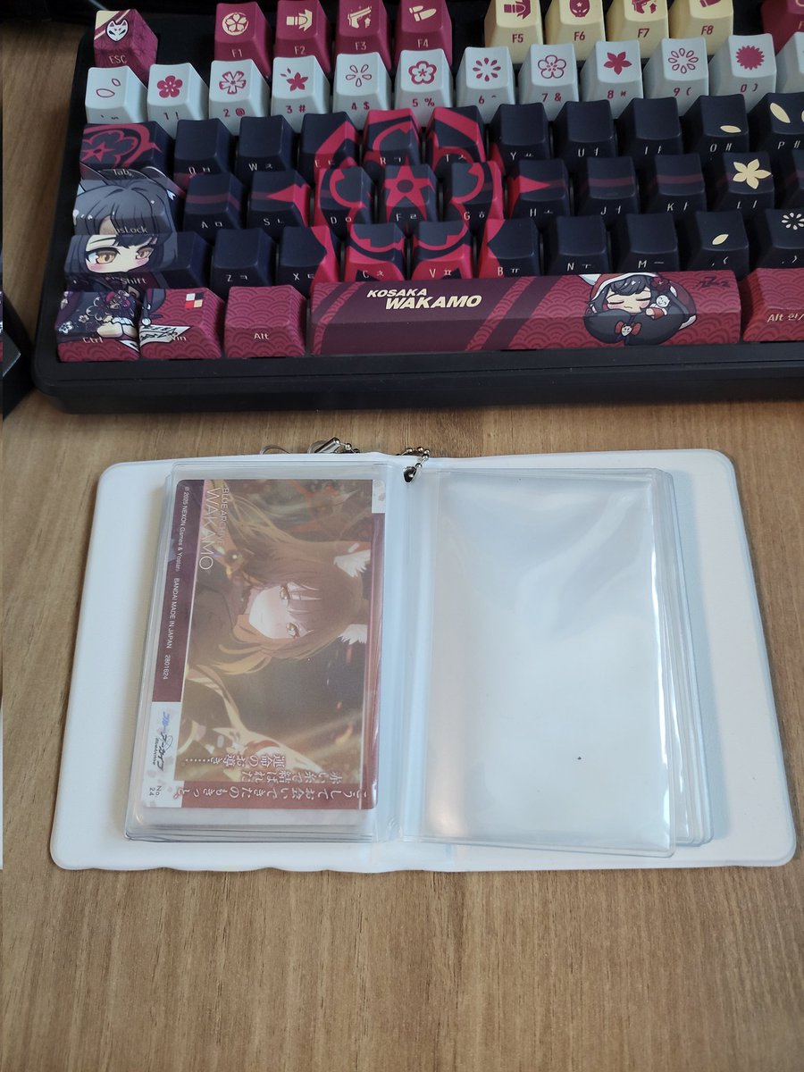 박주현 (5서코/5일페 양일) tweet media