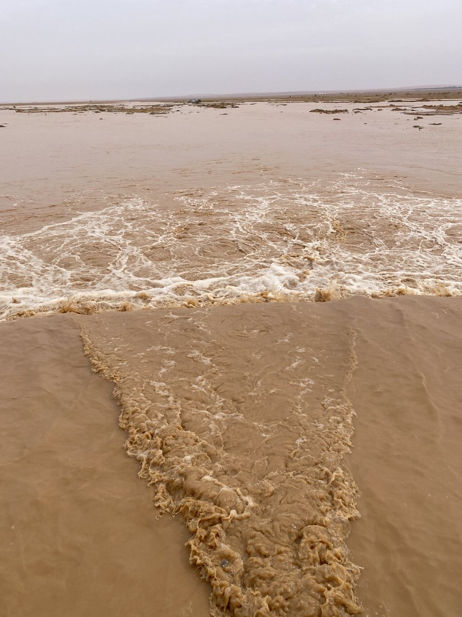 ابوعبدالله الفيصل 70 tweet media