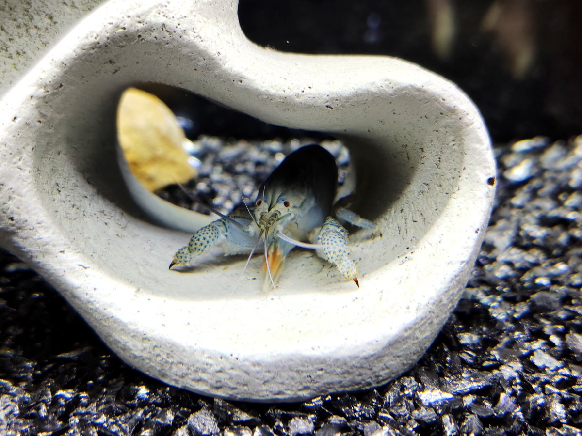 トータルリペアJ-Works@の中の人👨‍🔧 tweet media