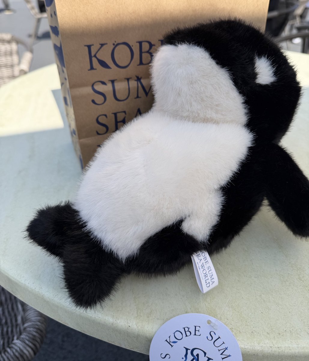 どるちぇ tweet media