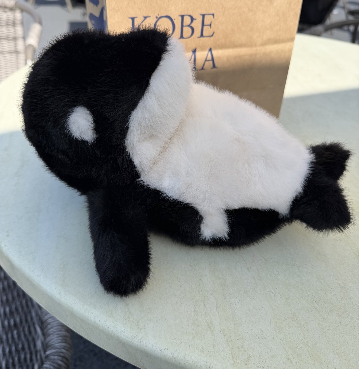 どるちぇ tweet media