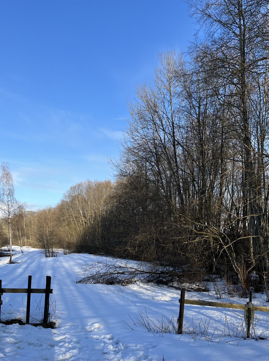 ShahidMAskerN's tweet image. The weather change in Norway surprised everyone.This photo is from 25-April 2023 hometown near Oslo.
#Norway