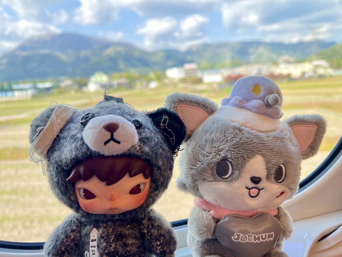 ぢゃーん tweet media