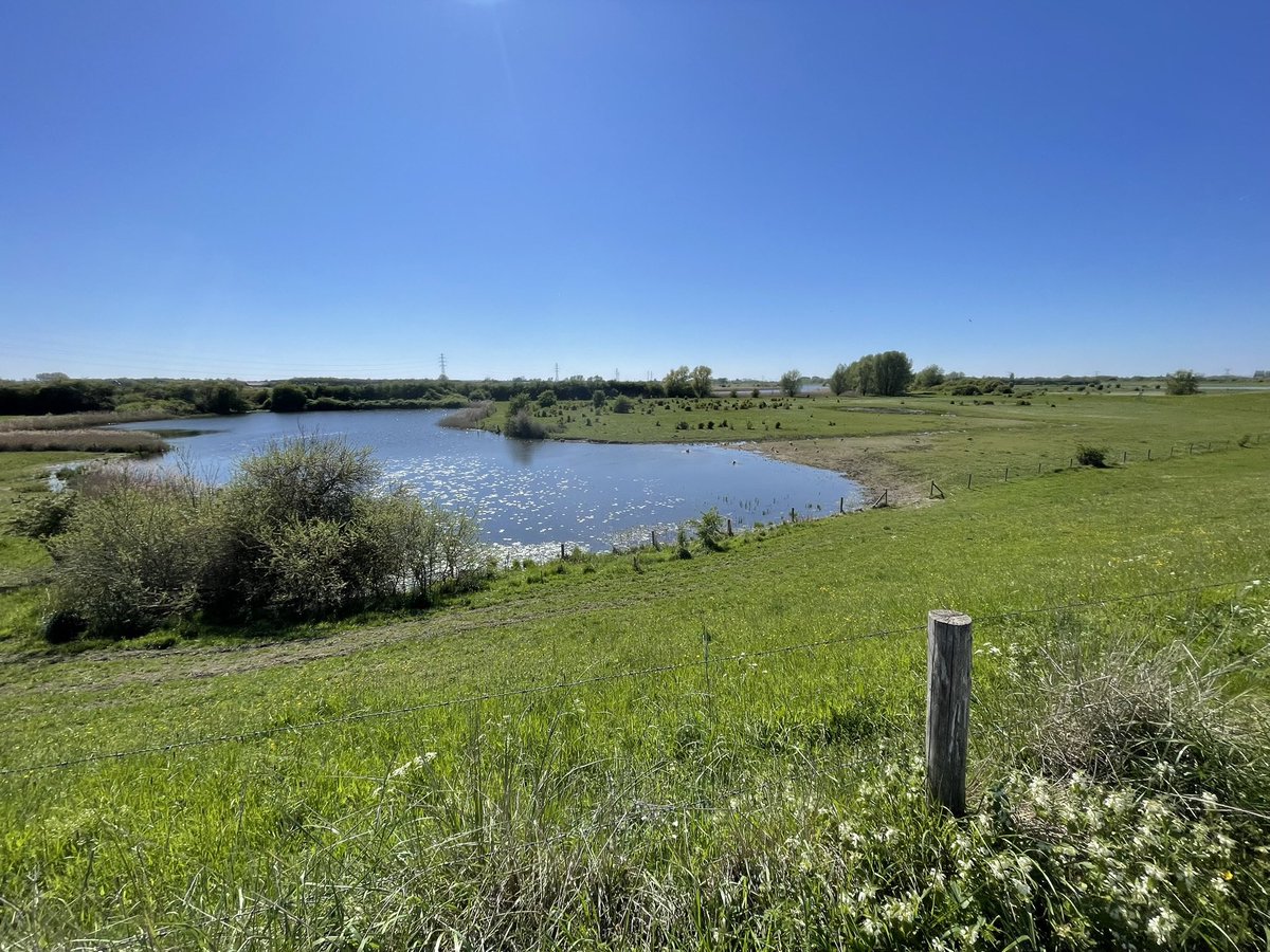 Chris Zeevenhooven tweet media