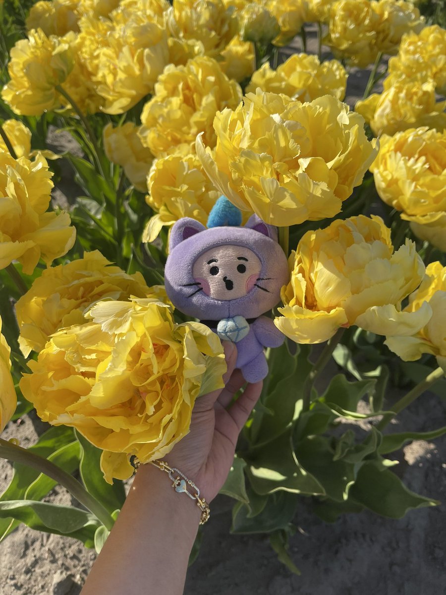 Treasure_FC's tweet photo. Yesterday i brought this lil baby to the tulips barn in Holland. 🇳🇱🩵😈 @treasuremembers #TREASURE #TRUZChilli #최현석 #ChoiHyunsuk https://t.co/JL7G43HxGd
