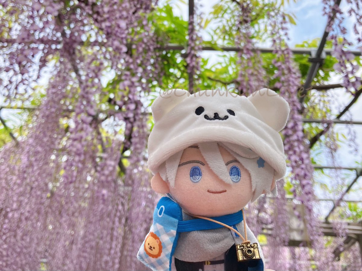 ちゅんLife tweet media