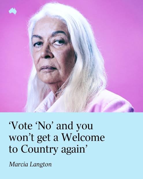 Stephen Chavura tweet media