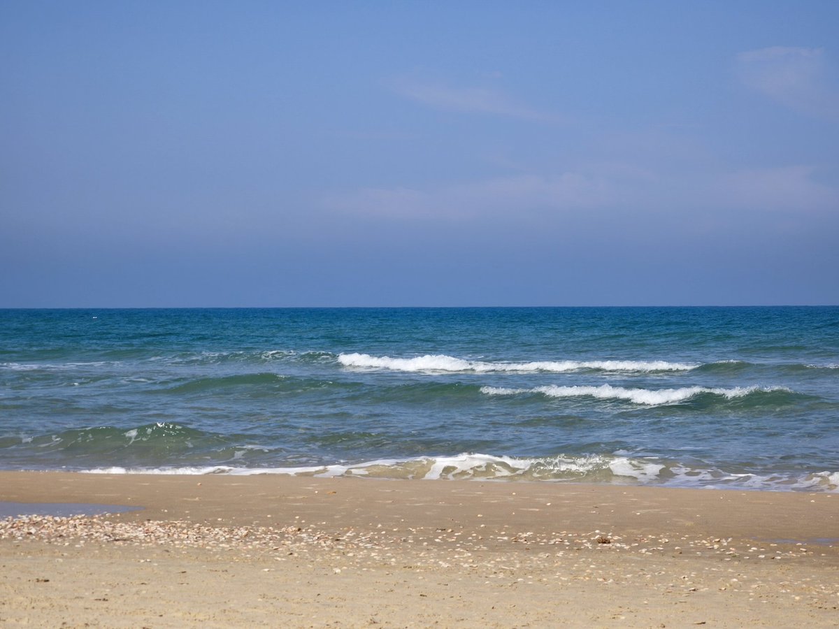 👁️⃤✡✝🍌♆”*°•. ĐØ₦'₮ ₵₳ⱤɆ .•°*🍌♆✡✝ tweet media