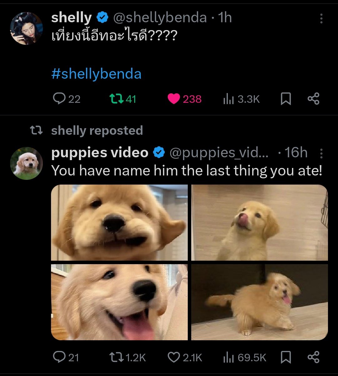 RedK 🧸🍭 tweet media