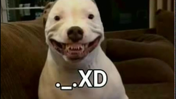 ✂️ Mikoto Urabe ✂️ tweet media