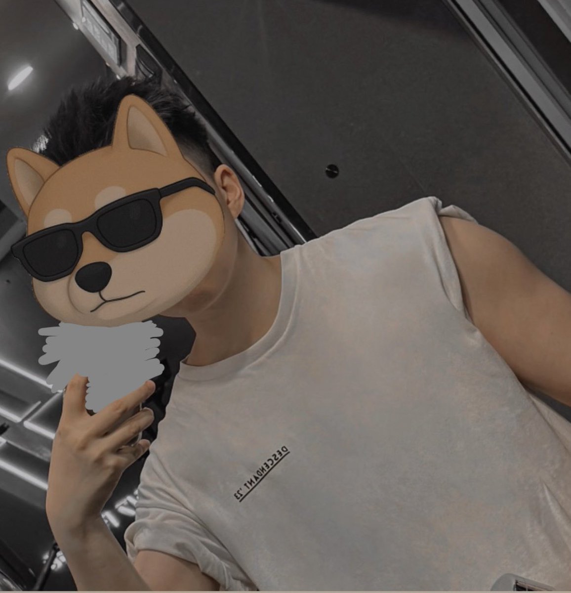 MemeticMonk 狗宝 tweet media