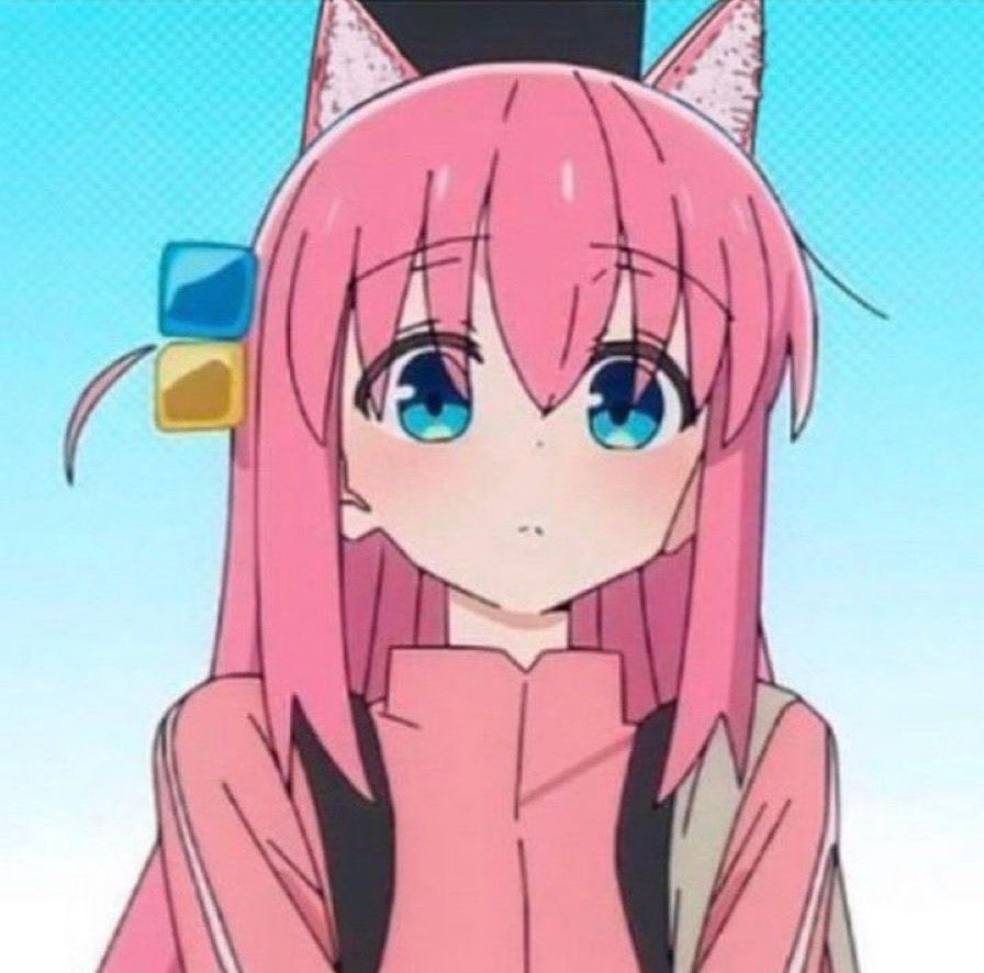 Bocchi Cat Daily tweet media