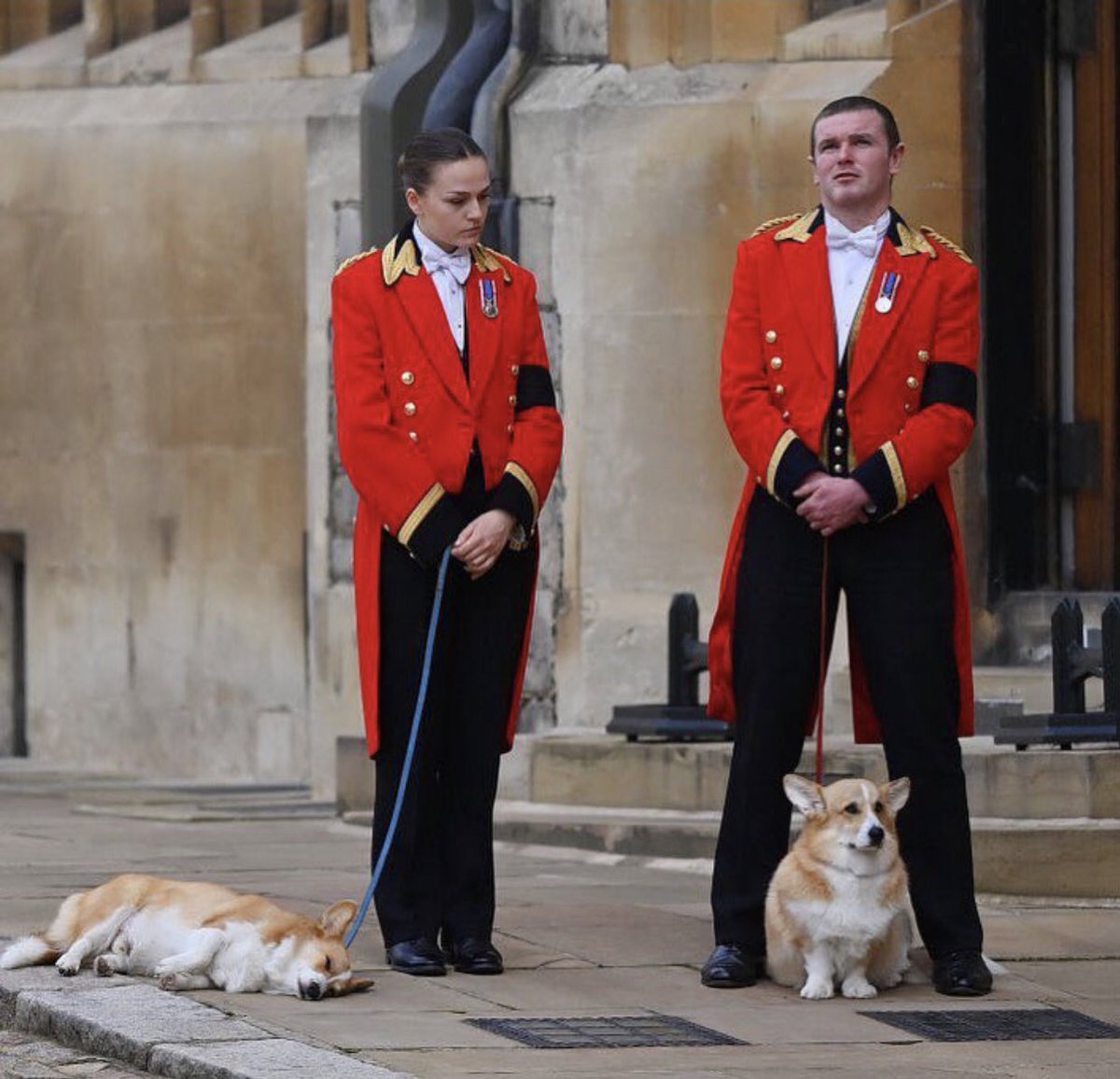 Cat is life ~猫は人生~ tweet media