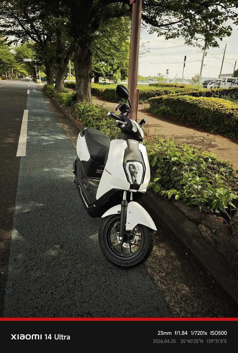 𝙋𝙞𝙭𝙮⚡️Robbia🌶️ tweet media