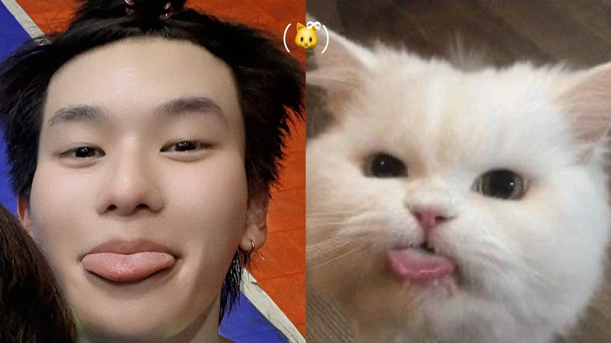 ᑤ h /•᷅•᷄\ᘏ tweet media