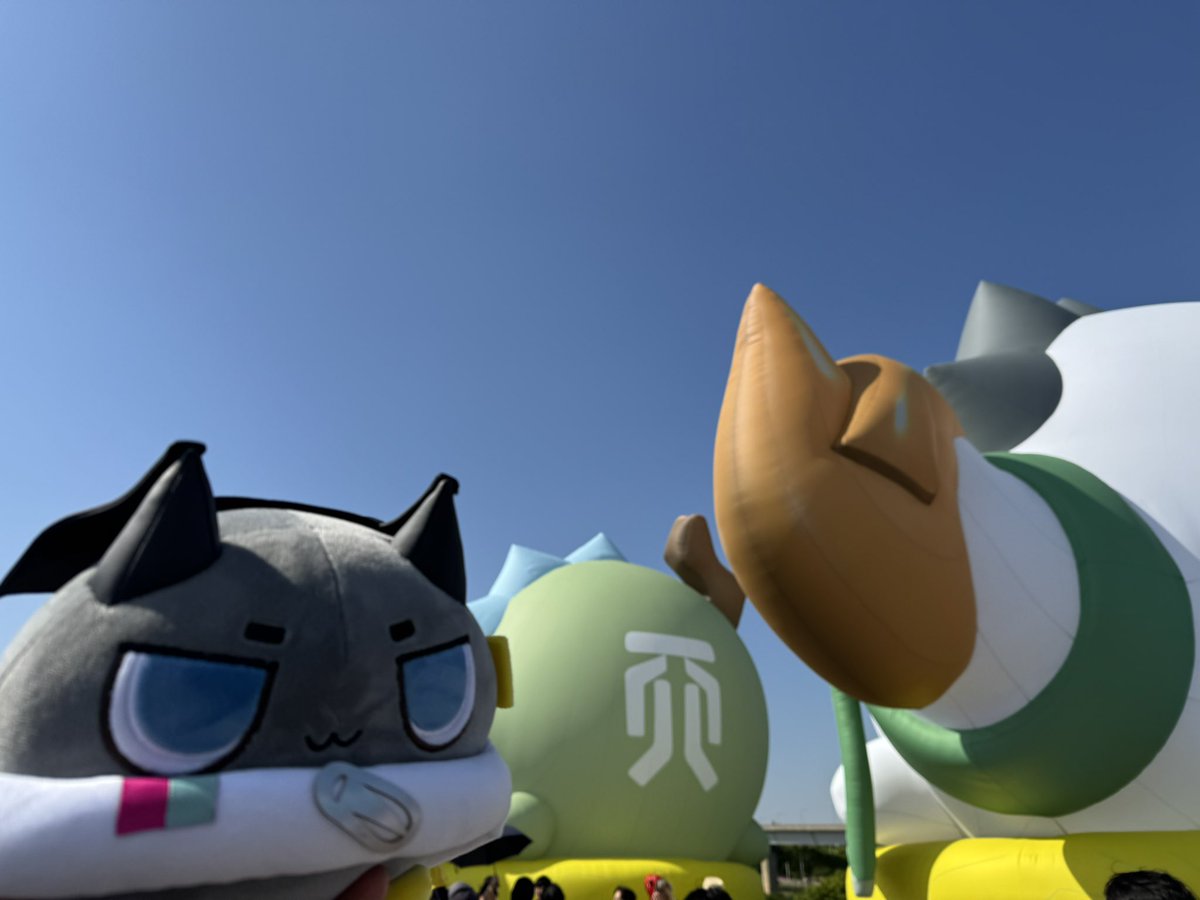 할 게(임) 많은 소프트케이 tweet media