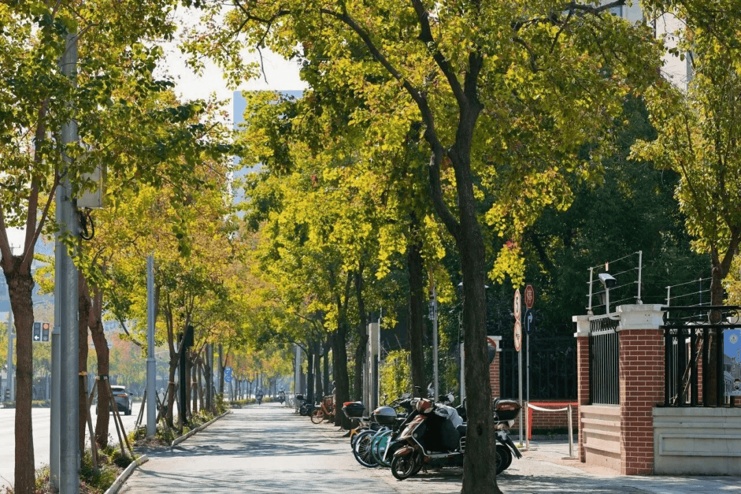 Londonbase.Lb tweet media