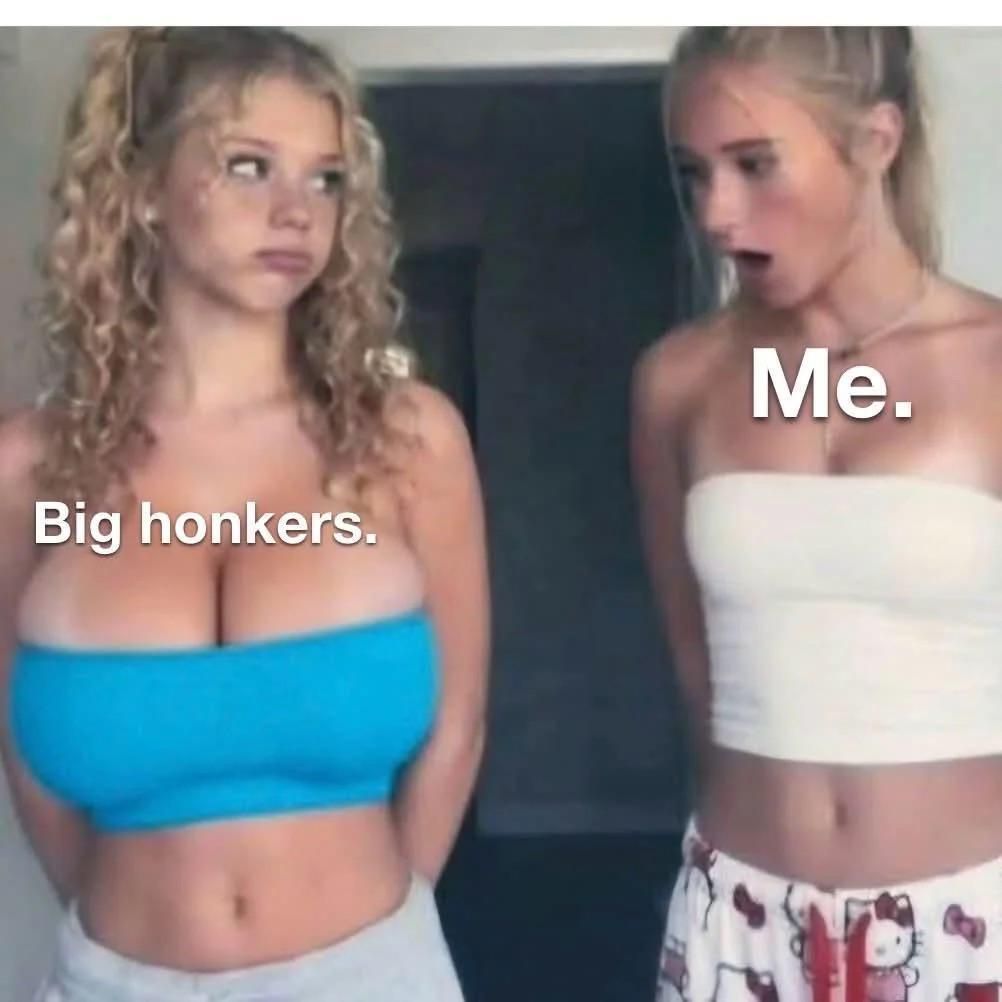 literal memes tweet media