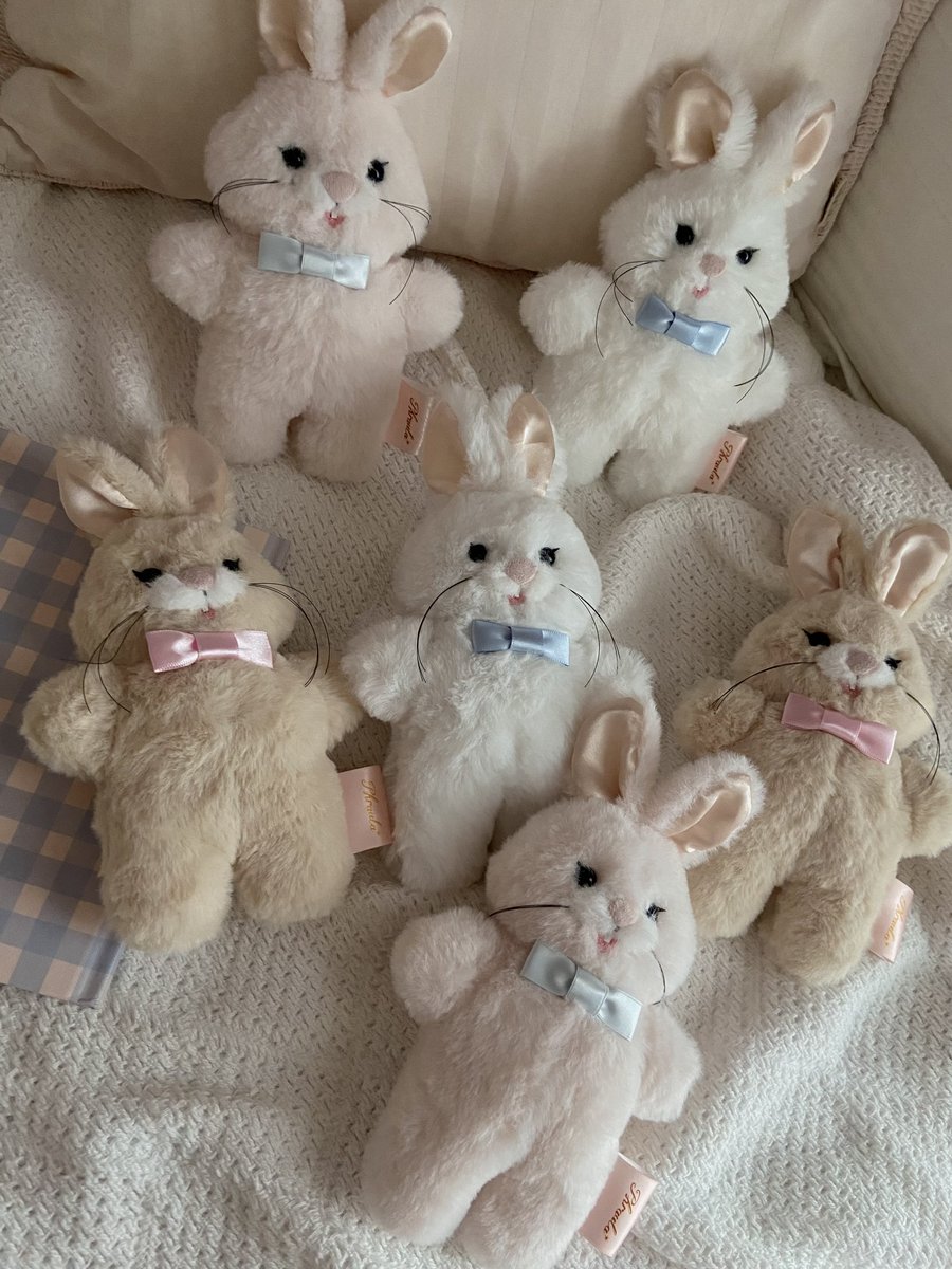 🐰抽選販売受付　
4/26 sun 11:59 までOPENしています🐰
blog.livedoor.jp/phraulazakka/a…