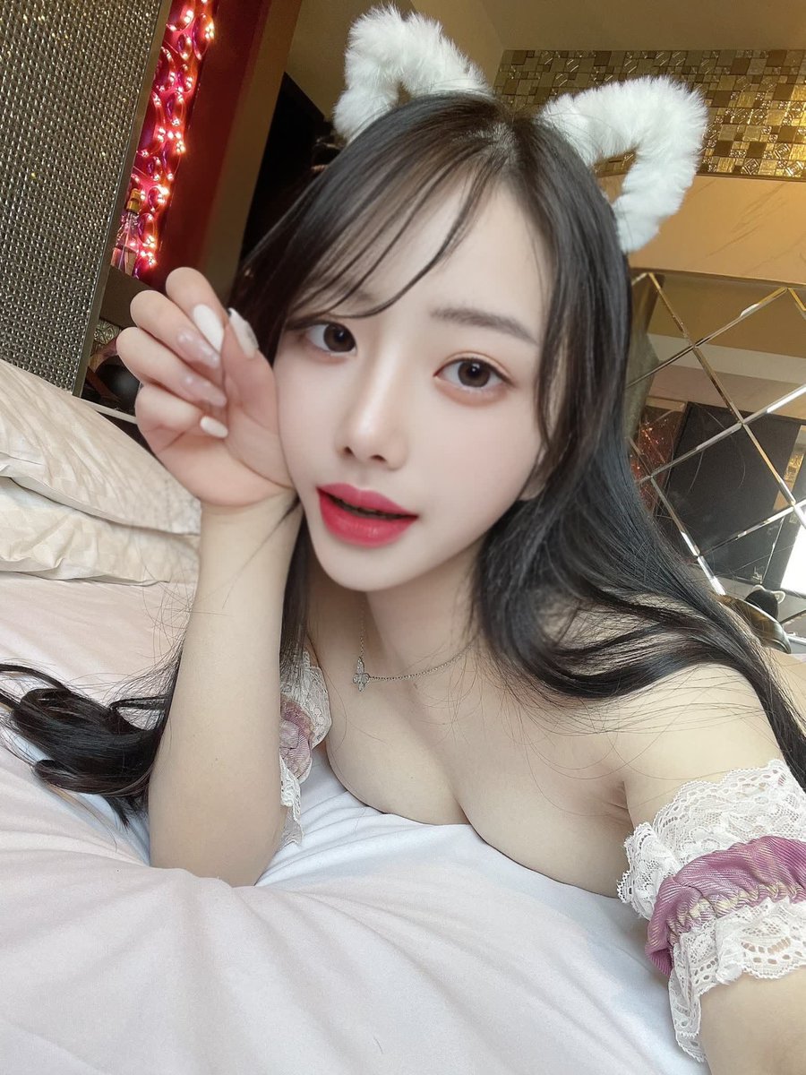 시디 tweet media