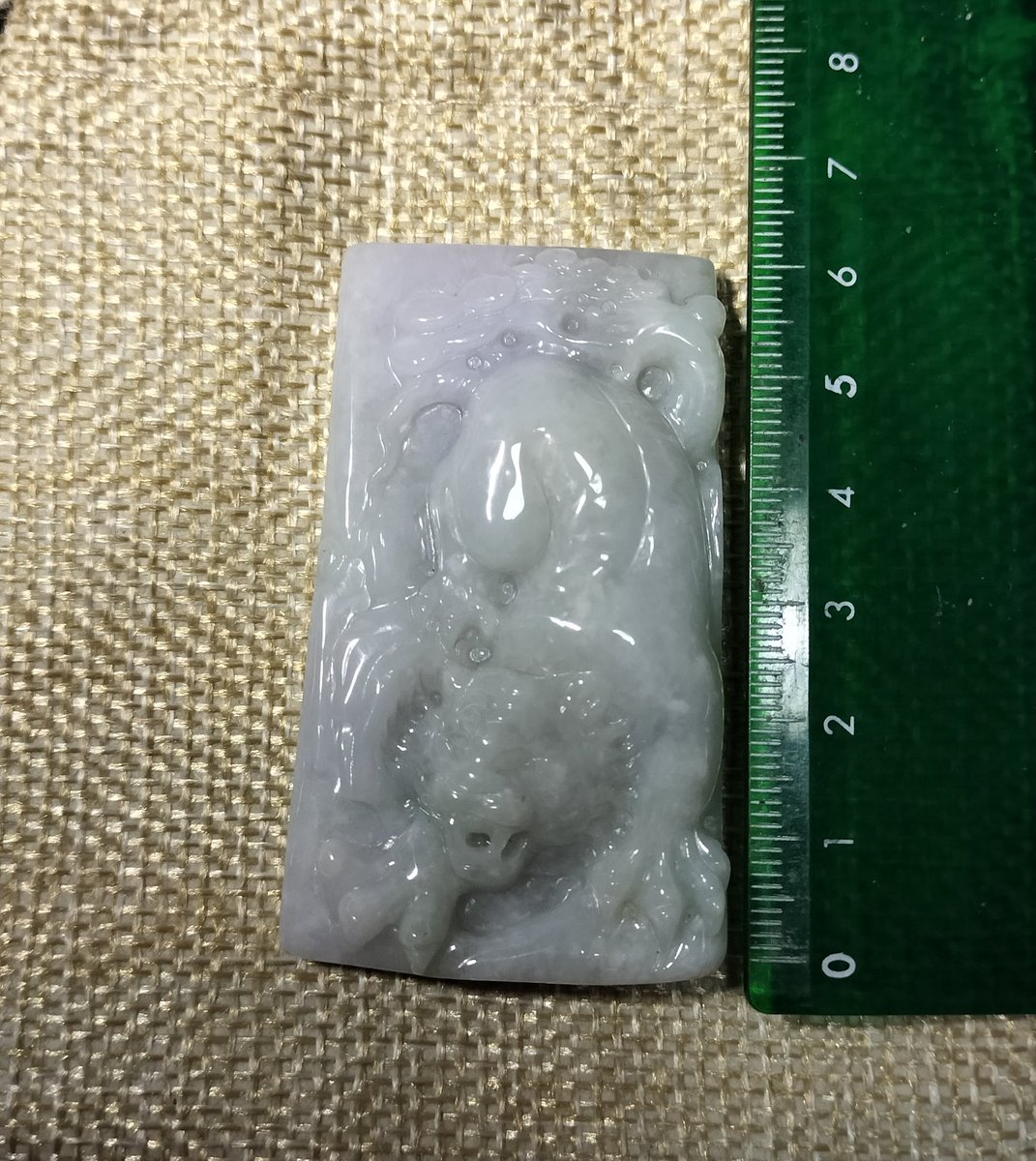 メグラー(巡回鳥) tweet media