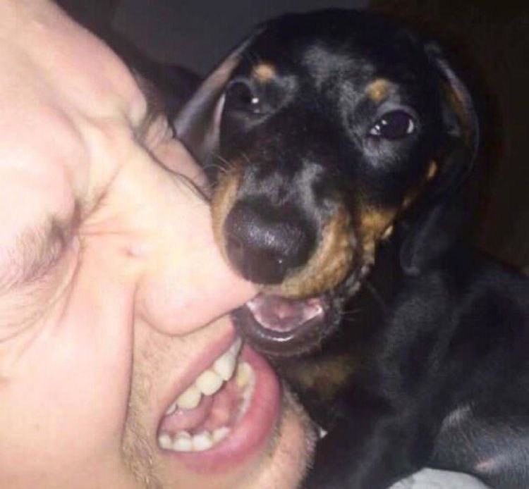 왕주장 tweet media