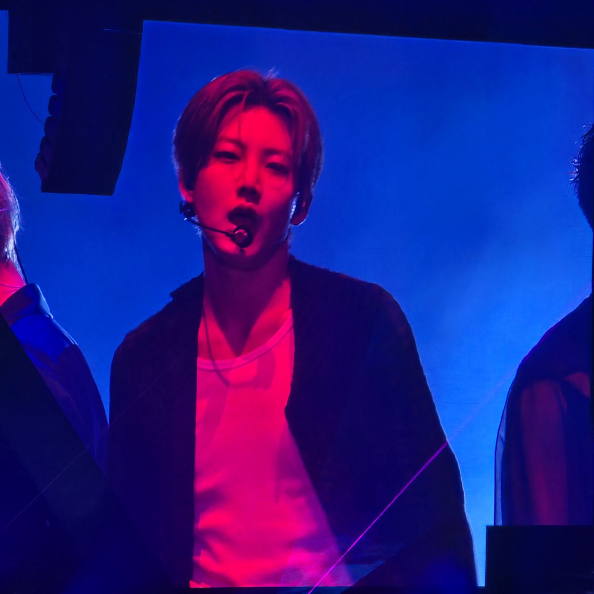 티트리 tweet media