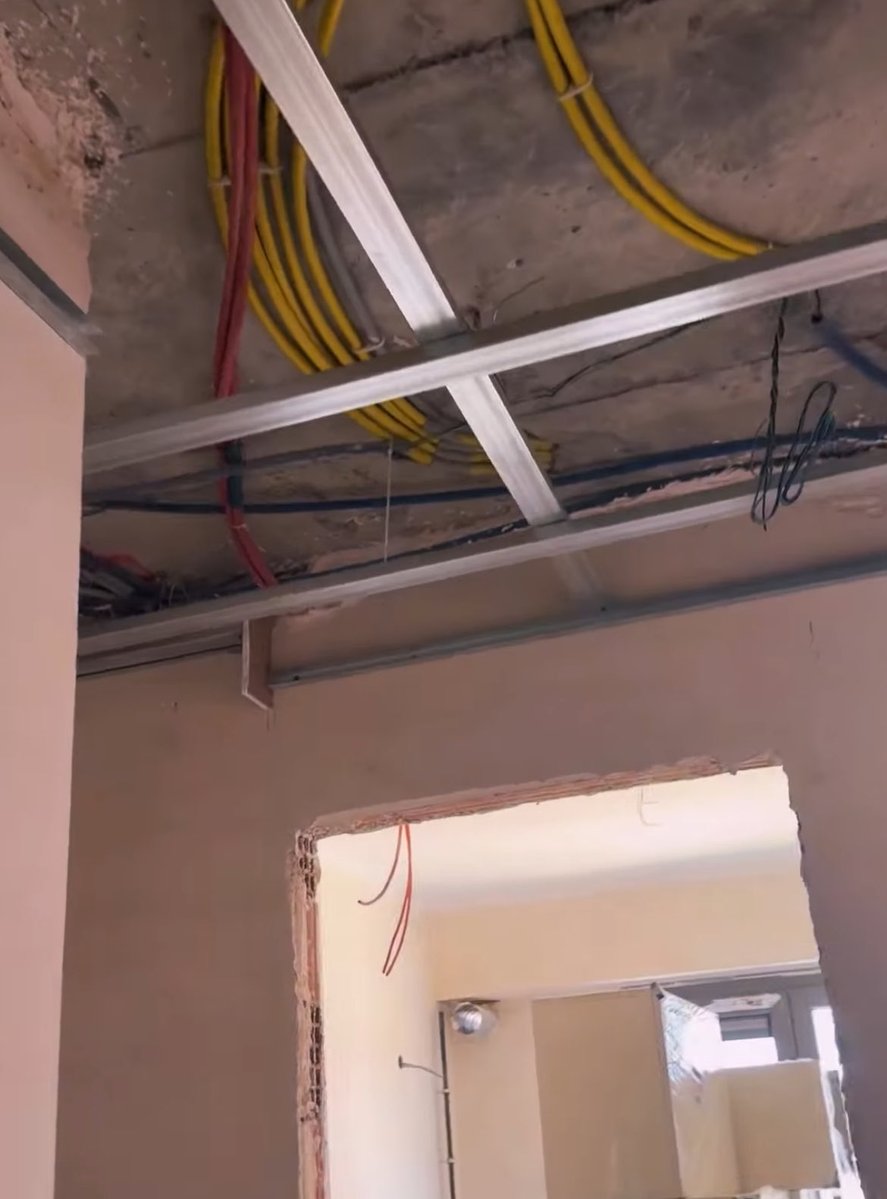 Bolluca Insider tweet media