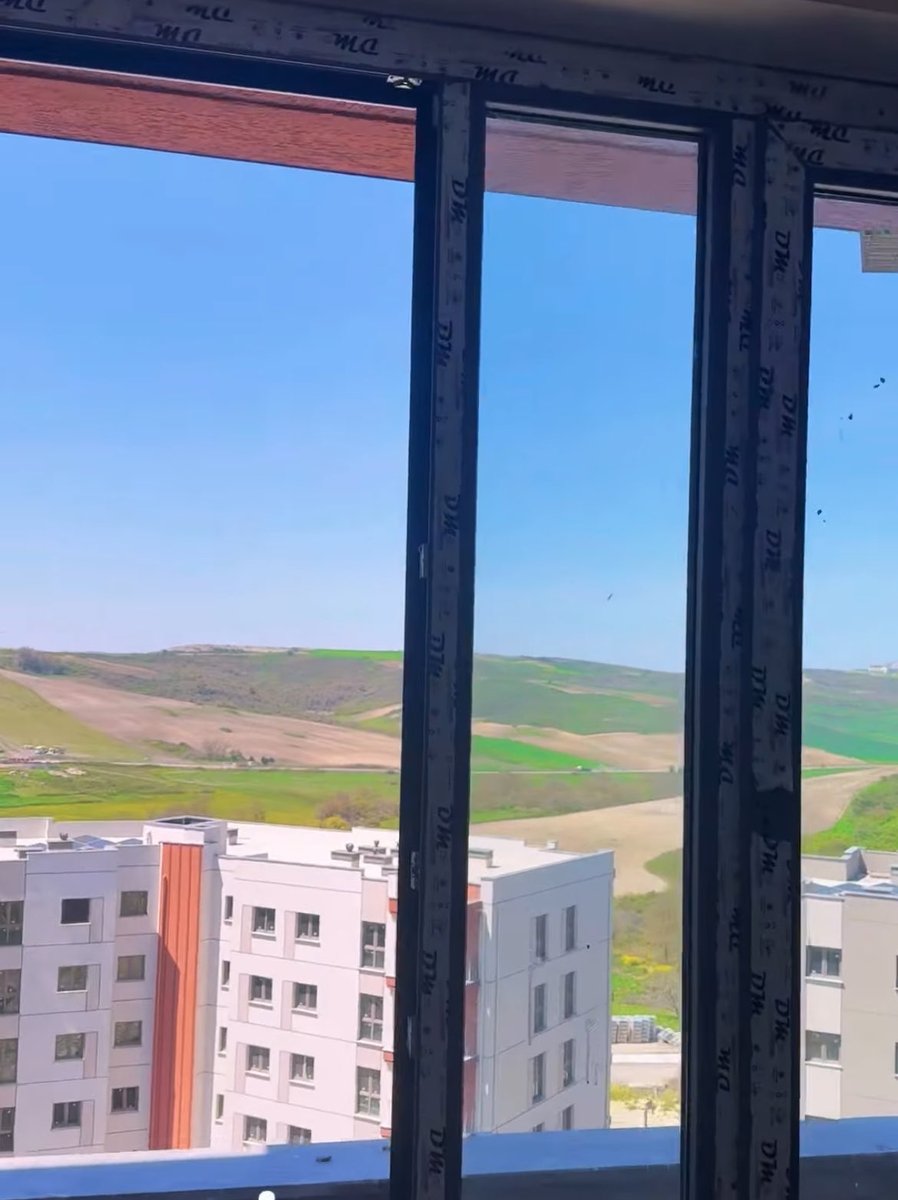 Bolluca Insider tweet media