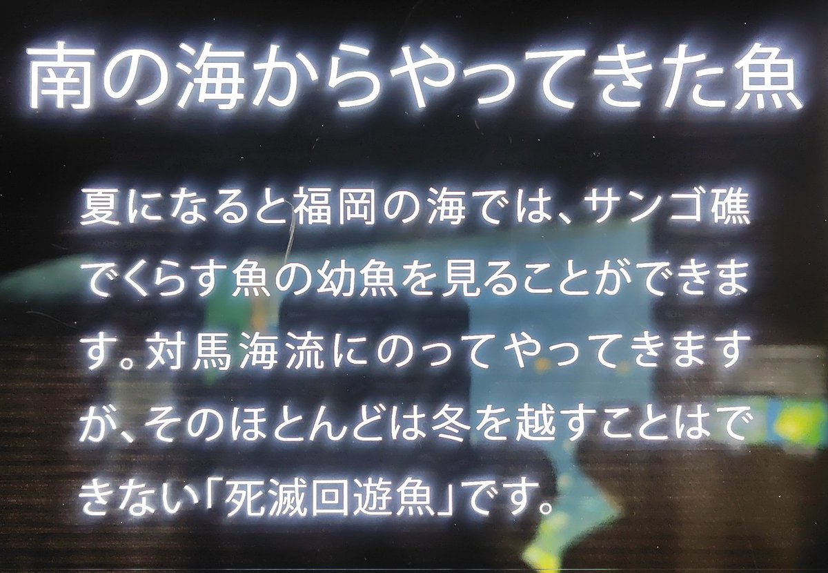 シエ tweet media